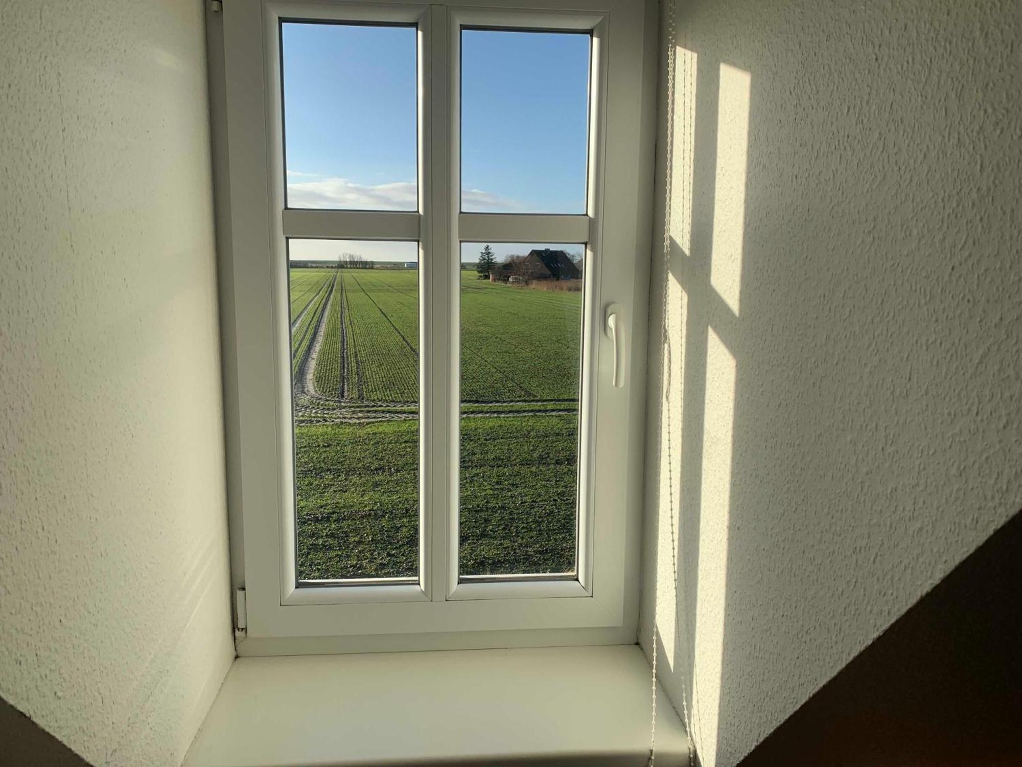 Haus Im Halligweg 20 Nordstrand Dış mekan fotoğraf